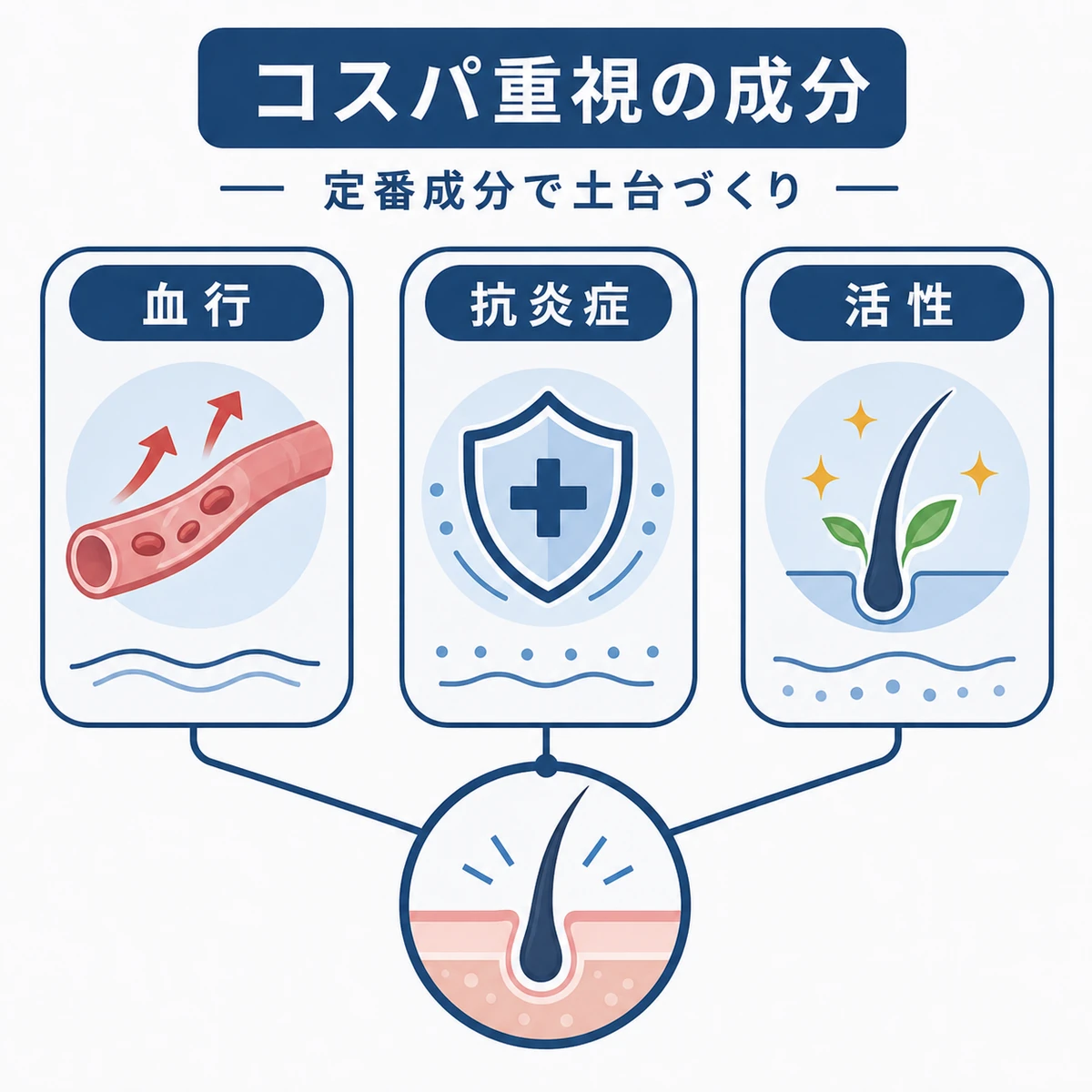 血行促進や抗炎症などコスパのよい定番成分の役割を3枚のカードで整理した育毛成分の図解イラスト