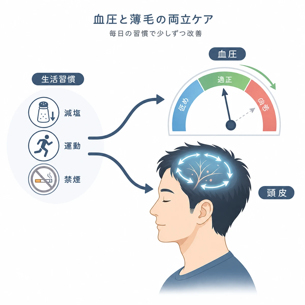 生活習慣の改善が血圧低下と頭皮の血行促進の両方に働くことを表した医療イラスト