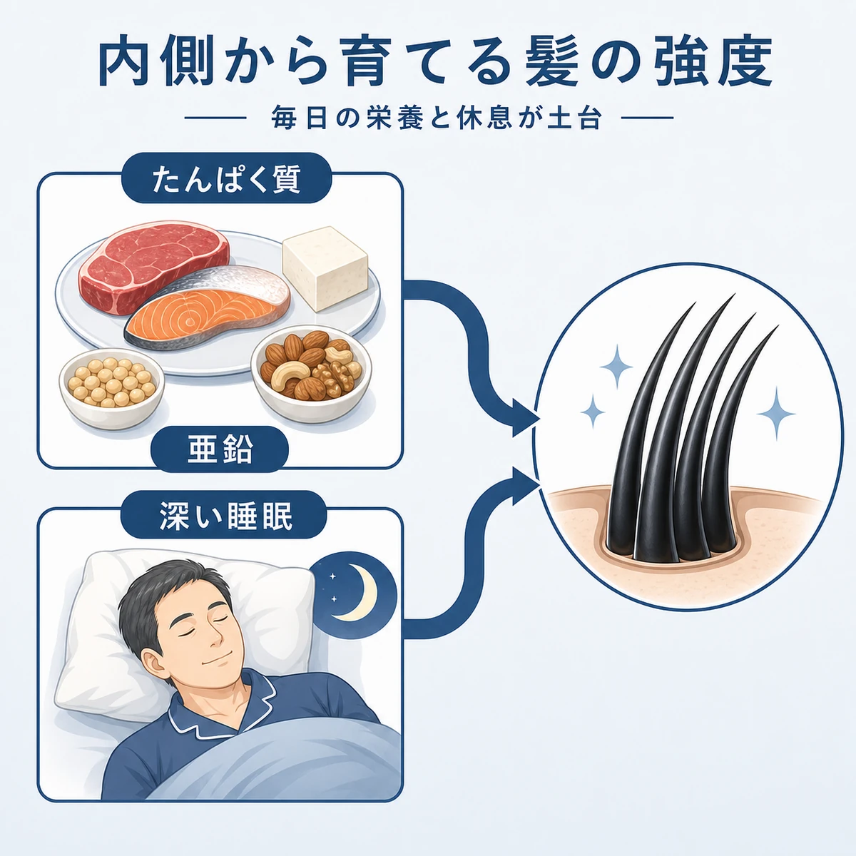 たんぱく質や亜鉛の食事と深い睡眠が髪の強度を支える関係を表した医療イラスト
