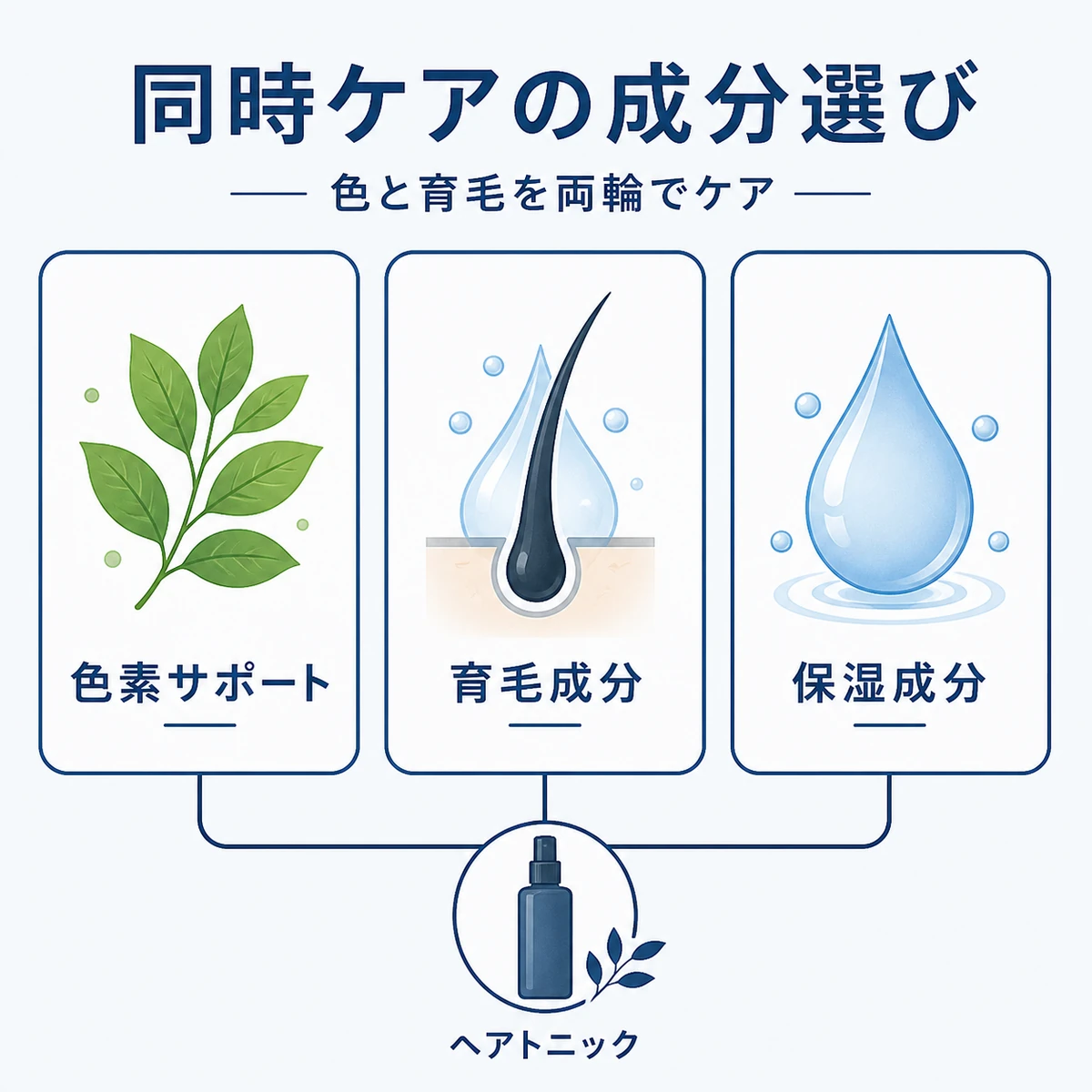 白髪と薄毛を同時にケアする成分の種類を表した医療イラスト