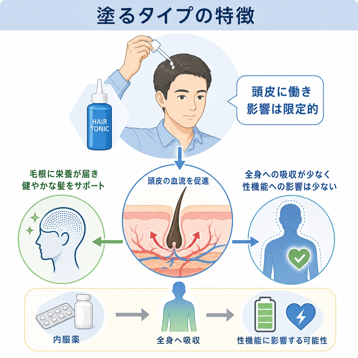 ミノキシジル外用薬が頭皮の血流を促すしくみを表した医療イラスト