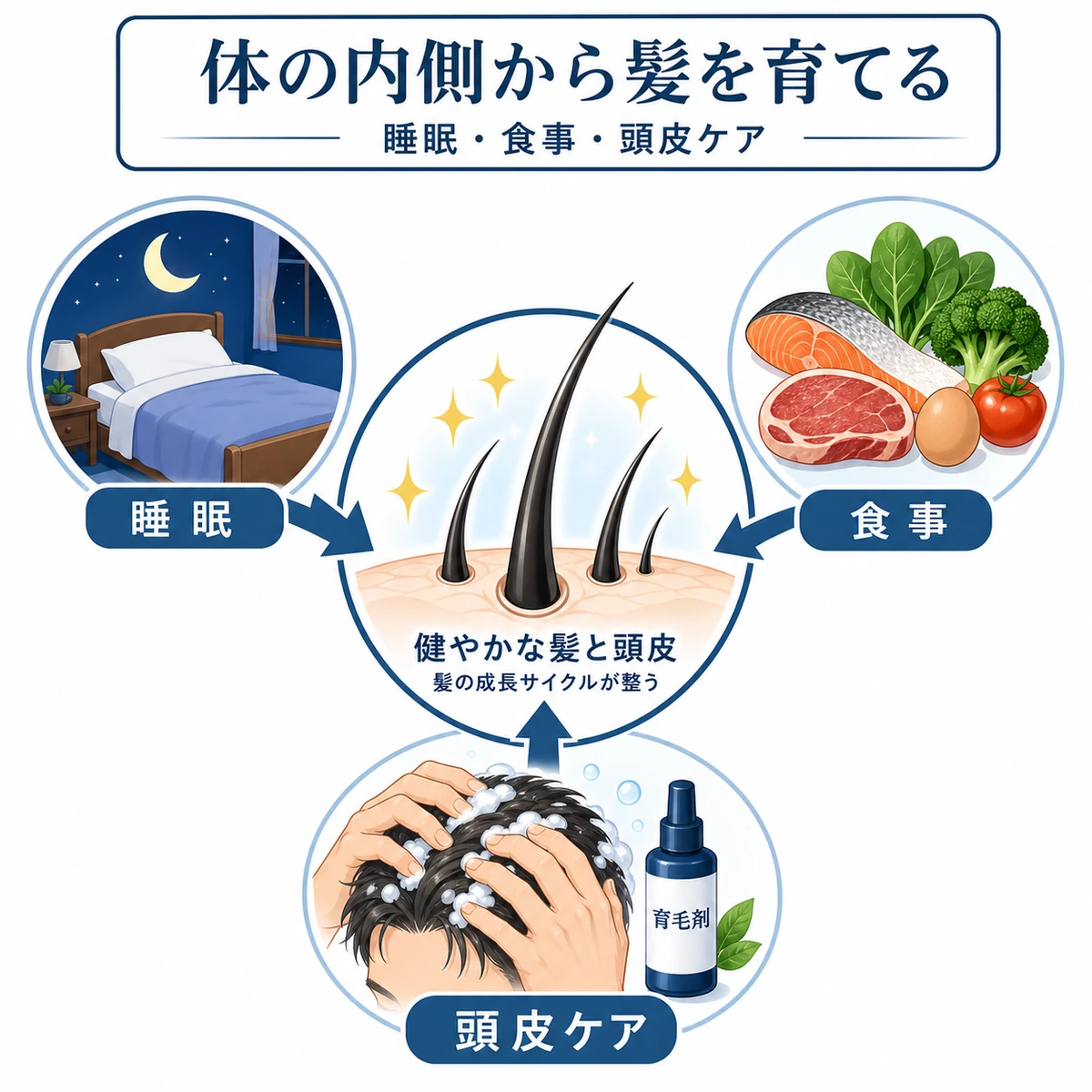 睡眠と食事と頭皮ケアが中央の髪を支える発毛サポートの生活習慣を表した医療イラスト