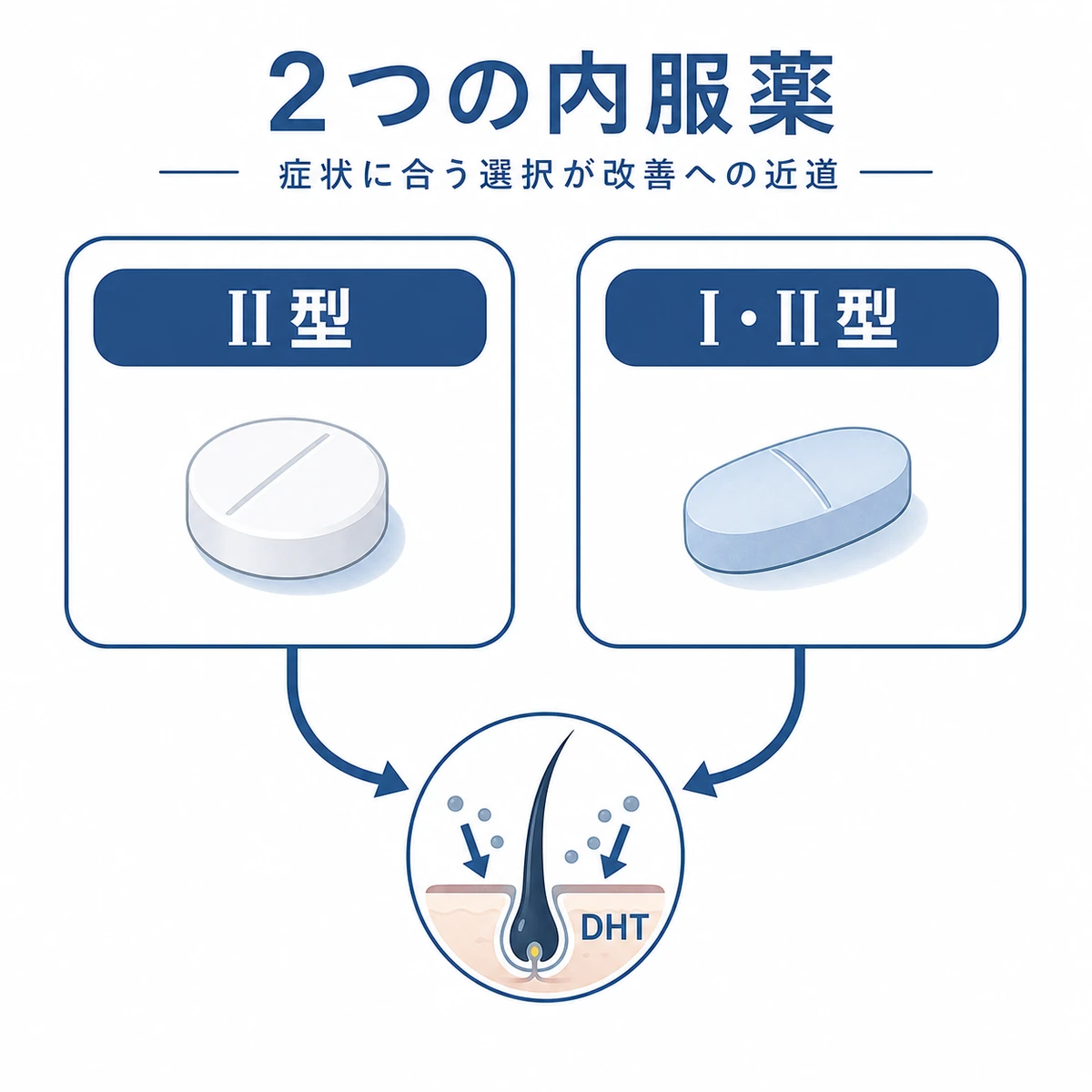 フィナステリドとデュタステリド2種類の内服薬の特徴を比較した医療イラスト