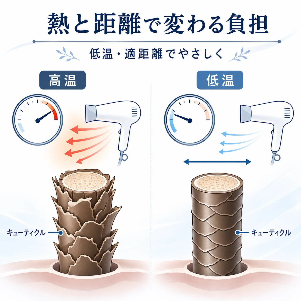 ドライヤーの温度と距離による髪表面への負担の違いを対比した医療系イラスト