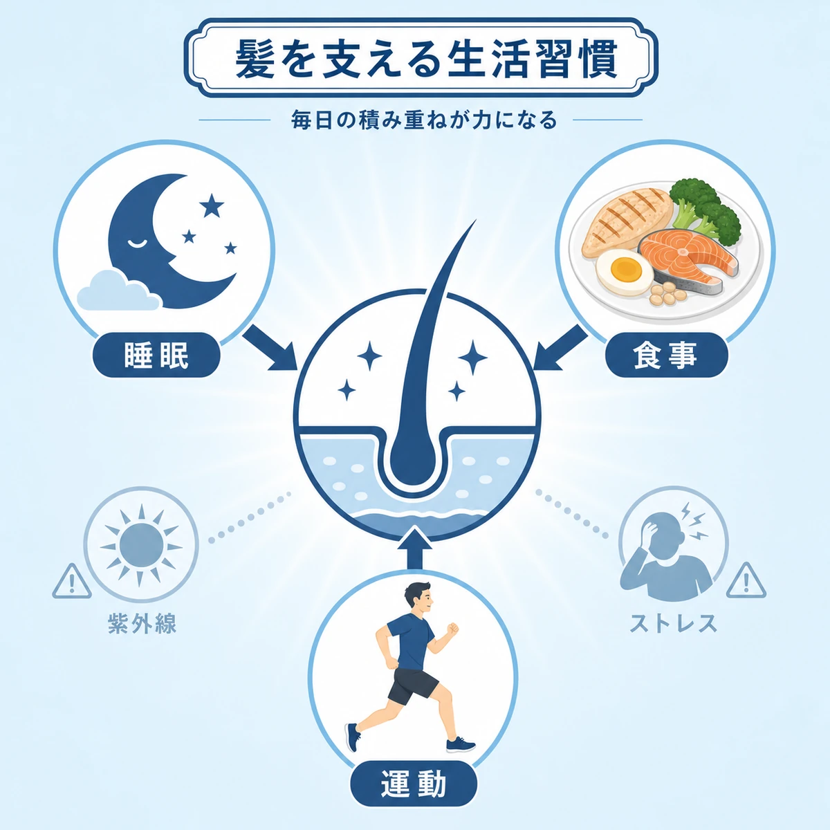 睡眠と食事と運動が髪の健康を支える関係を中央に集めて表した医療イラスト