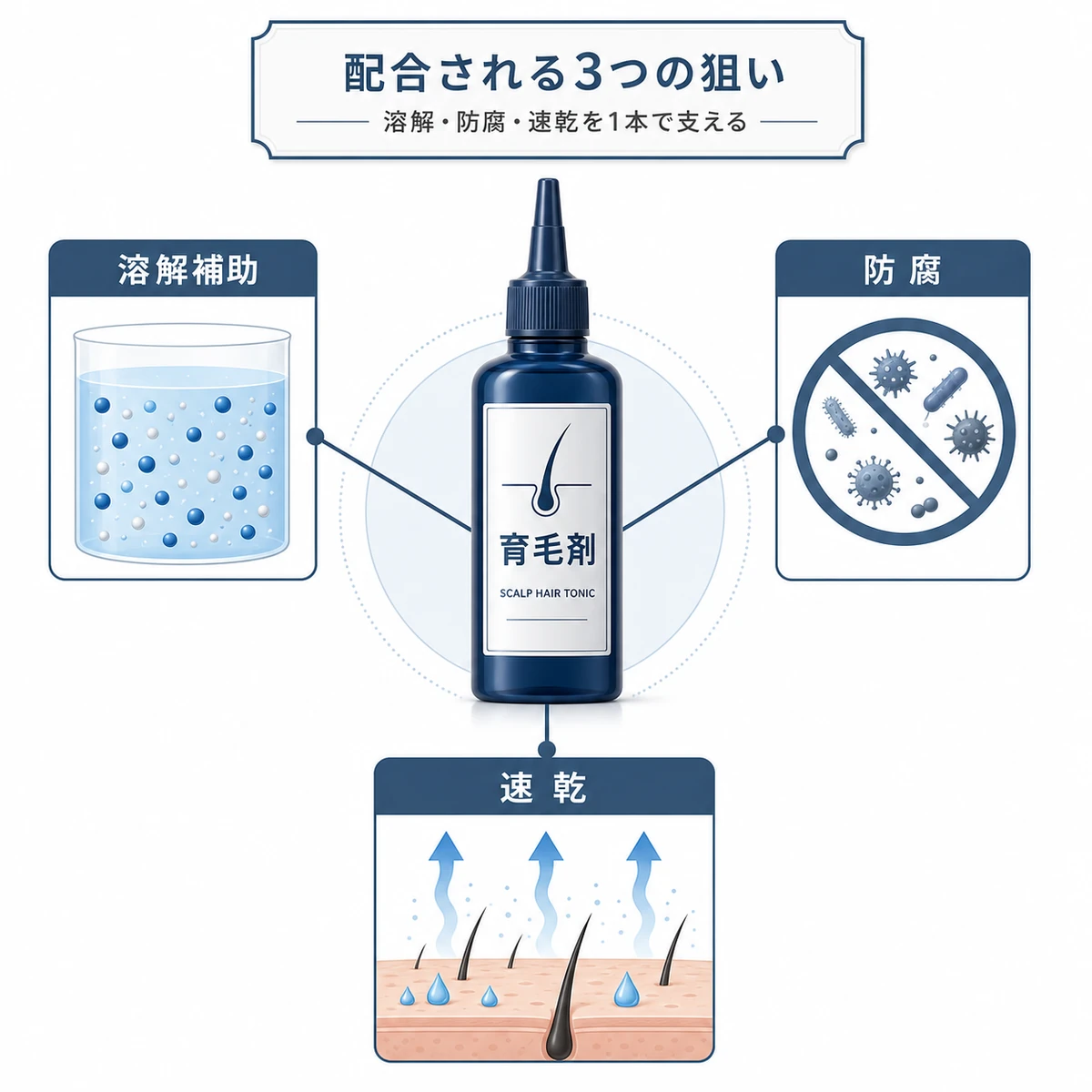 育毛剤のアルコールが担う溶解補助・防腐・速乾の3つの役割を並べた医療イラスト