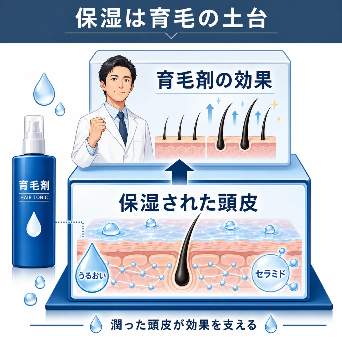保湿ケアが土台となって育毛剤の効果を支える関係を上下で表した医療イラスト