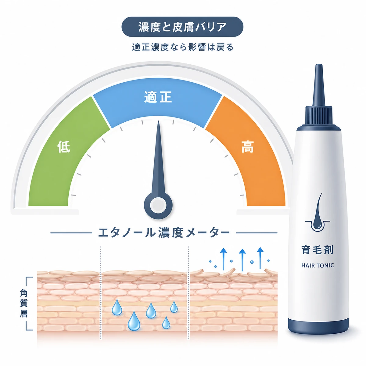 エタノール濃度メーターの針が適正ゾーンを指し皮膚バリアへの影響を示した医療イラスト