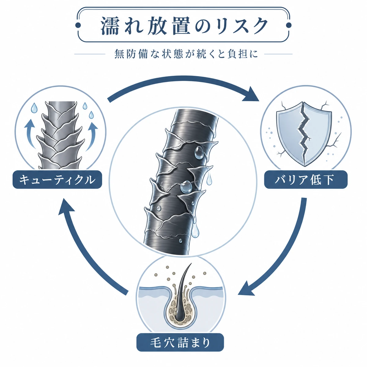 濡れたまま放置することでキューティクルの傷みからバリア低下へつながる頭皮の悪循環を円環で表した医療イラスト