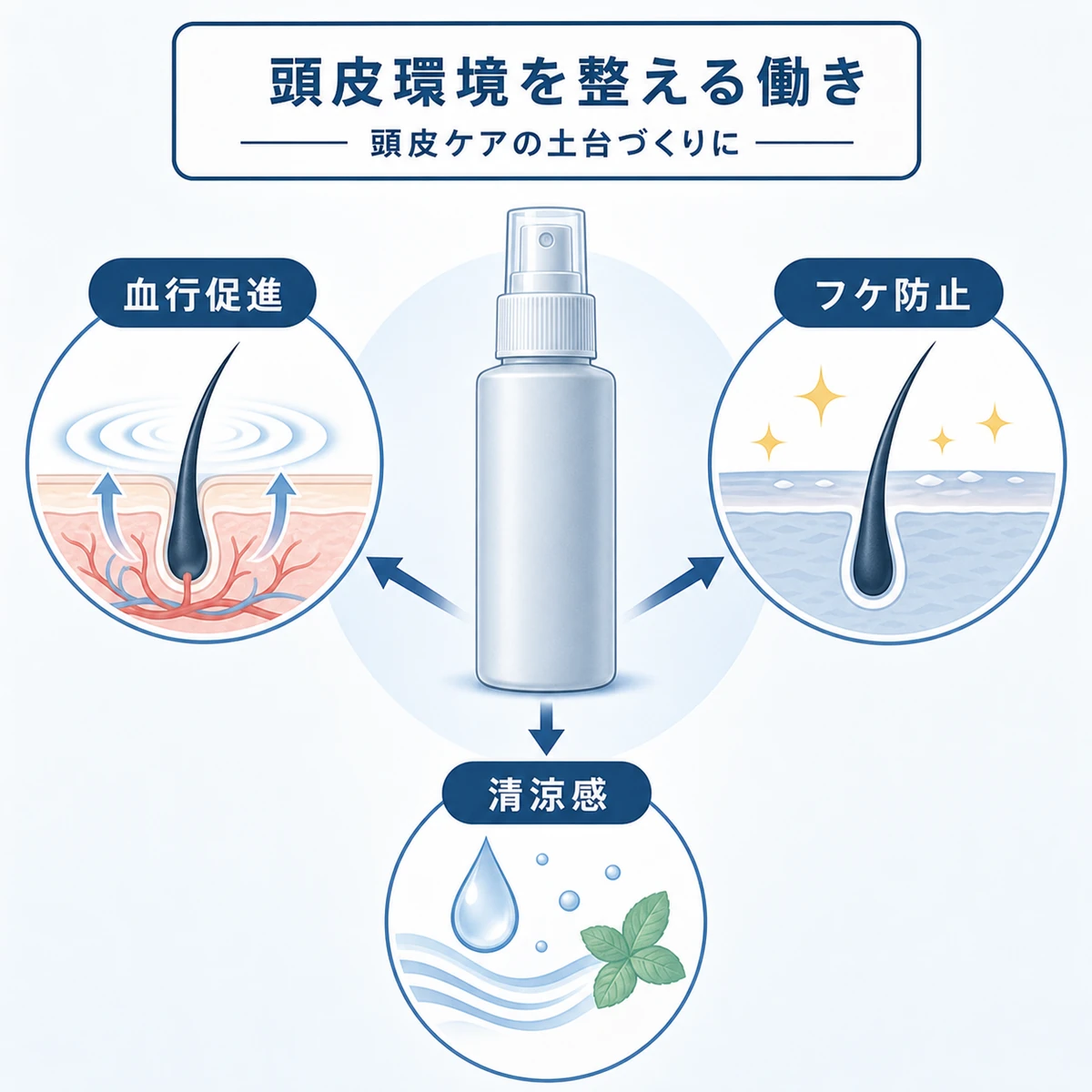 育毛トニックが頭皮環境を整える主な働きを放射状に表した医療イラスト
