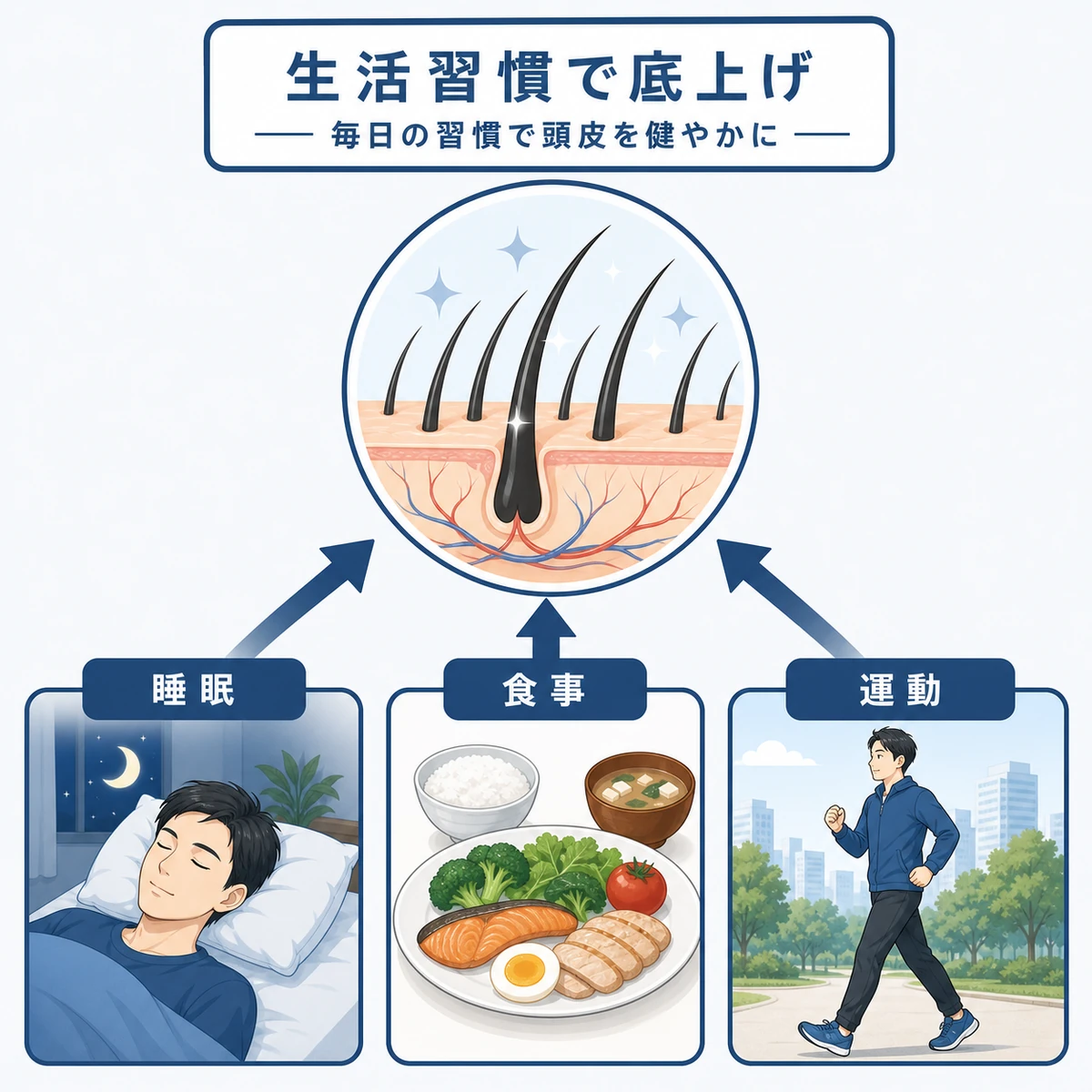 睡眠と食事と運動の生活習慣が頭皮環境を支える関係を表した医療イラスト