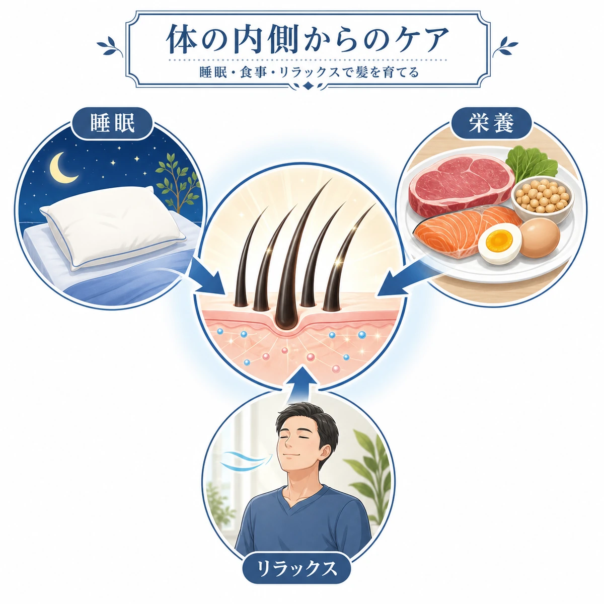 睡眠と栄養とリラックスが体の内側から髪の成長を支える生活習慣を表した医療イラスト