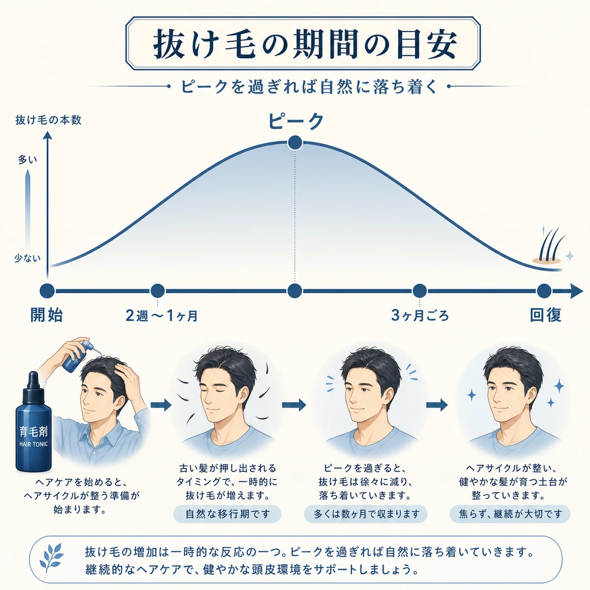 初期脱毛が始まりピークを越えて三ヶ月ほどで落ち着くまでの経過を左から右に表した医療イラスト
