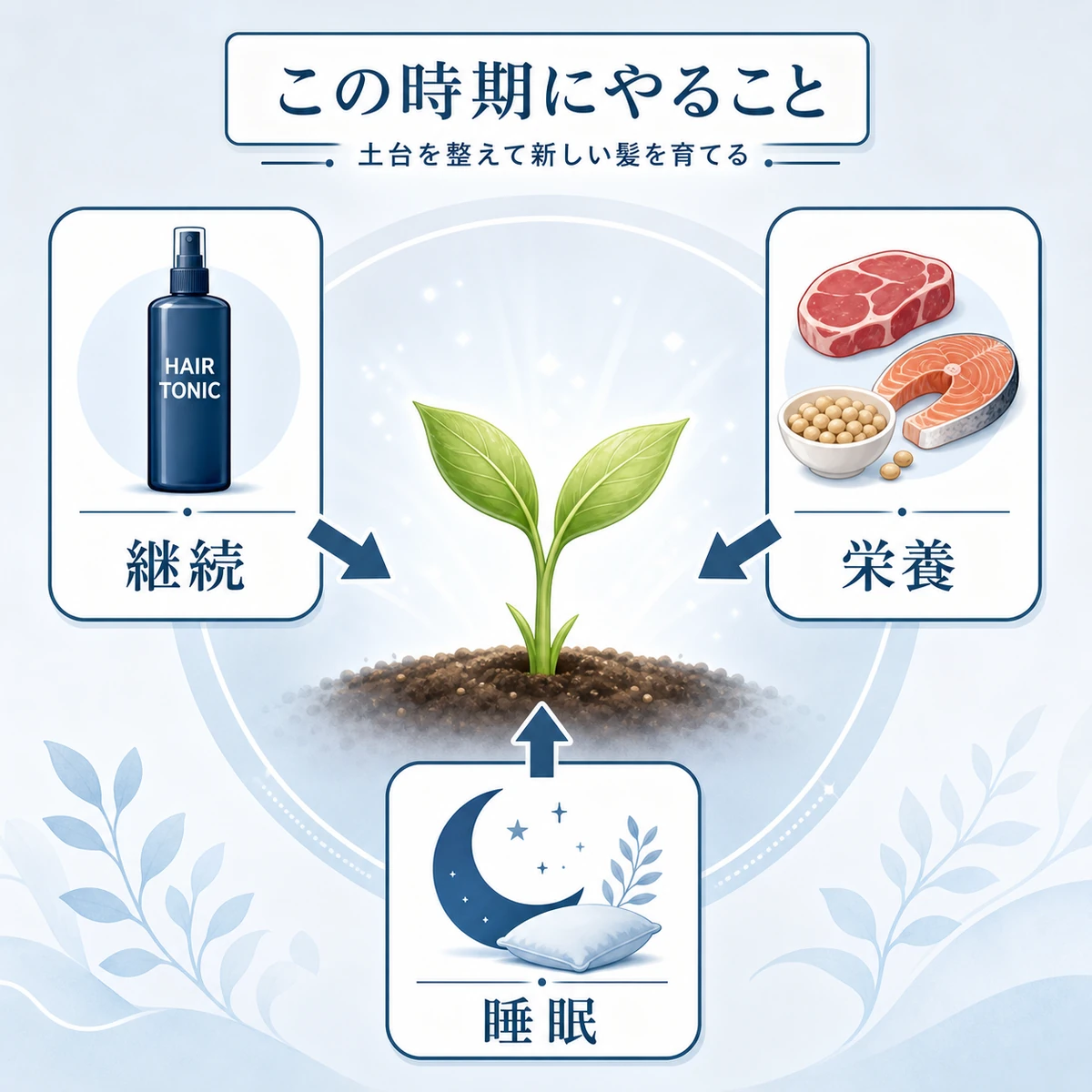 育毛剤の継続と栄養や睡眠で新しい髪の土台を整える過ごし方を表した医療イラスト