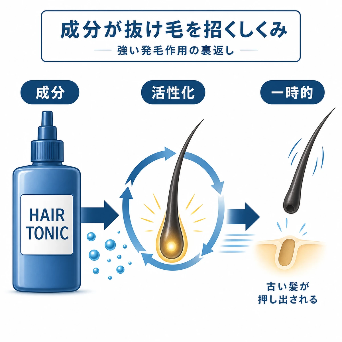 育毛剤の成分がヘアサイクルを速めて一時的な抜け毛を招くしくみを表した医療イラスト