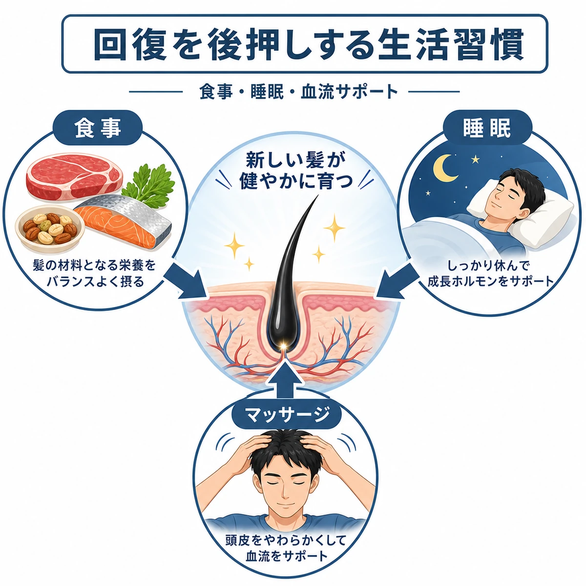 食事と睡眠と頭皮マッサージが新しい髪の成長を支える生活習慣を表した医療イラスト