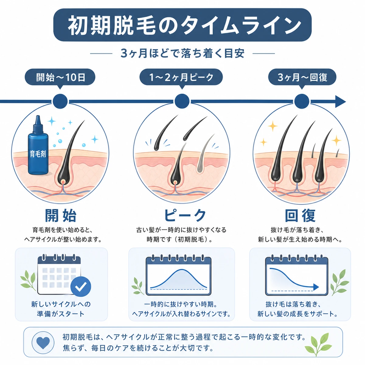 初期脱毛が始まってから収束するまでの経過を左から右へ示した医療イラスト