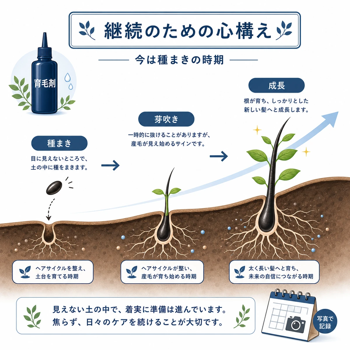 種まきから芽吹き成長へと右上がりに進む育毛の継続イメージを示した医療イラスト