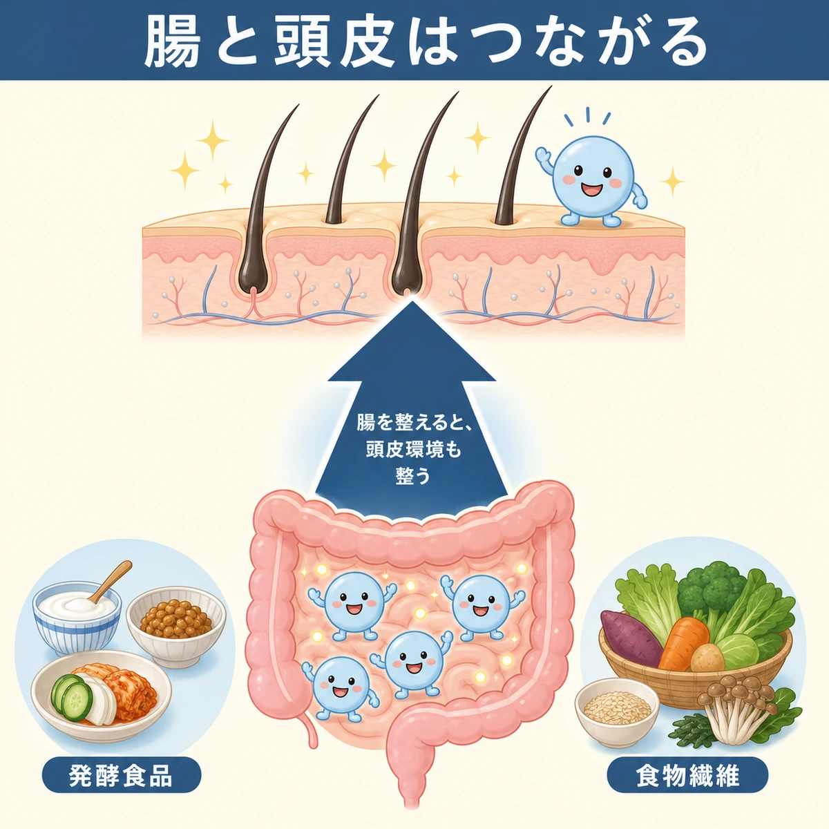 腸内環境を整えると頭皮の常在菌にも良い影響が波及する腸頭皮軸を表した医療イラスト