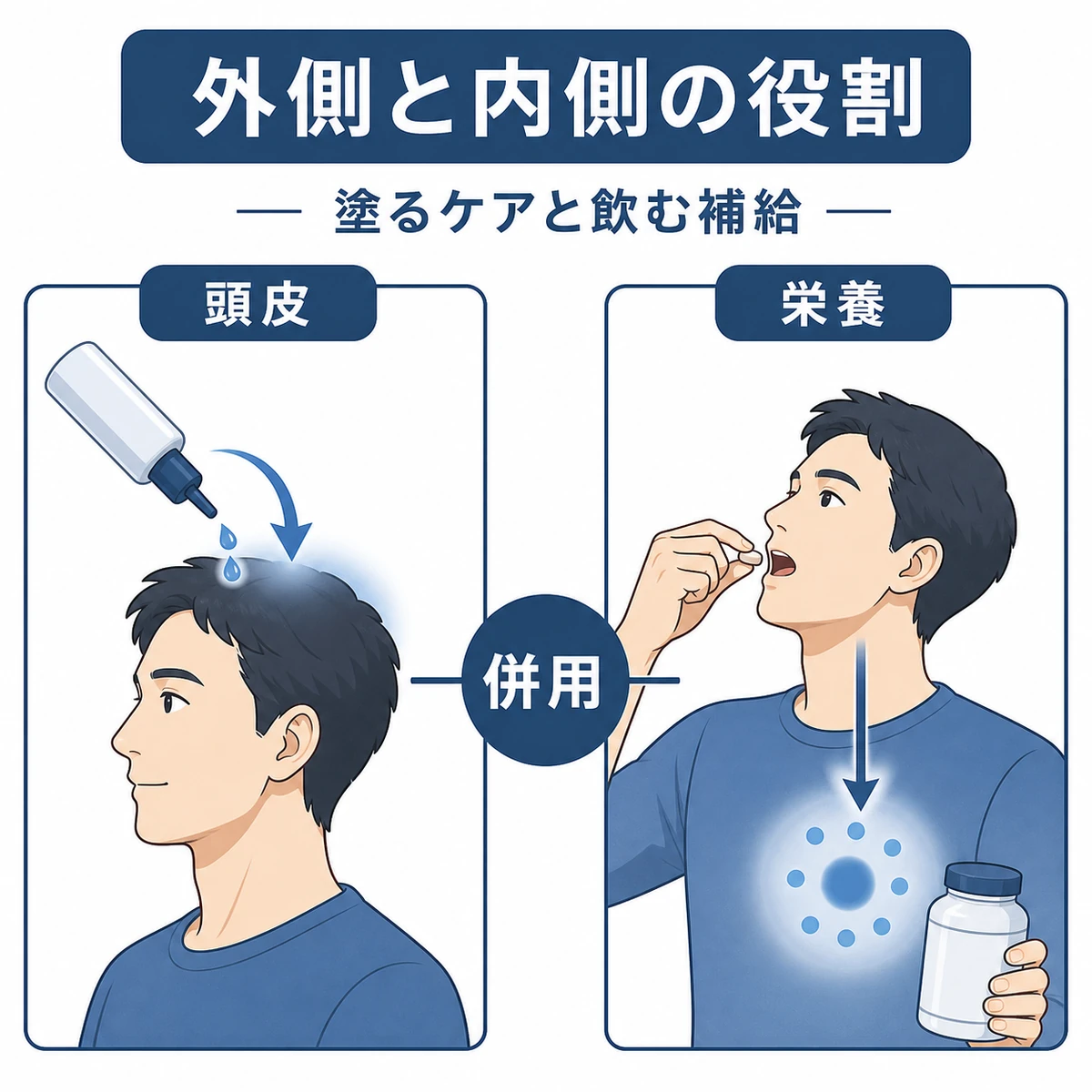 育毛剤が外側から頭皮に、育毛サプリが内側から栄養に働く役割の違いを表した医療イラスト