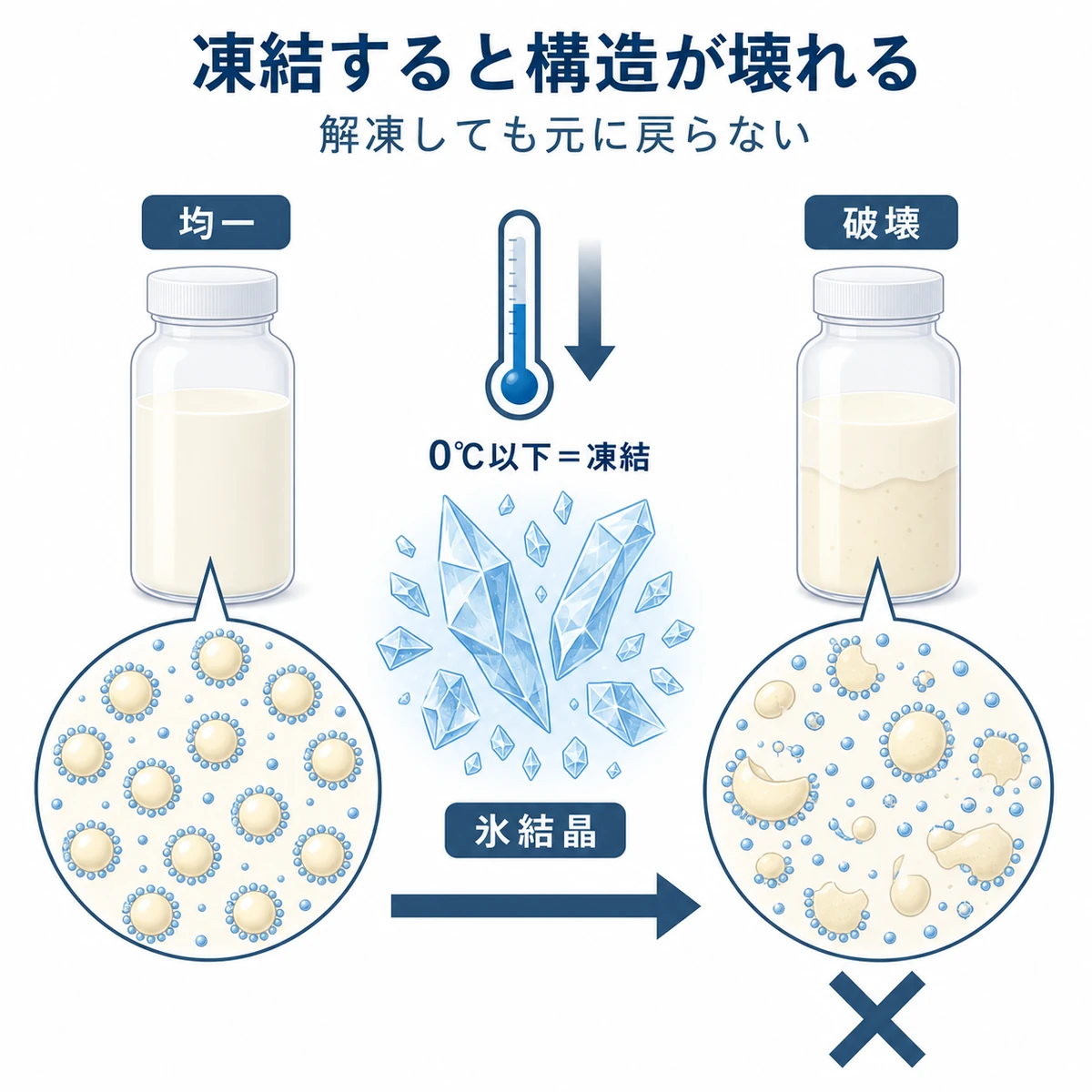 凍結で乳化構造が壊れ解凍後も戻らない育毛剤の変化を表した医療イラスト