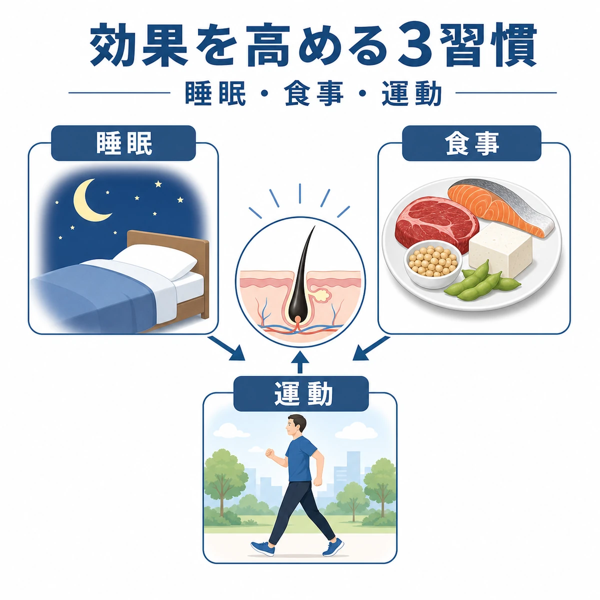 睡眠と食事と運動が頭皮環境を支える3つの生活習慣を表した医療イラスト
