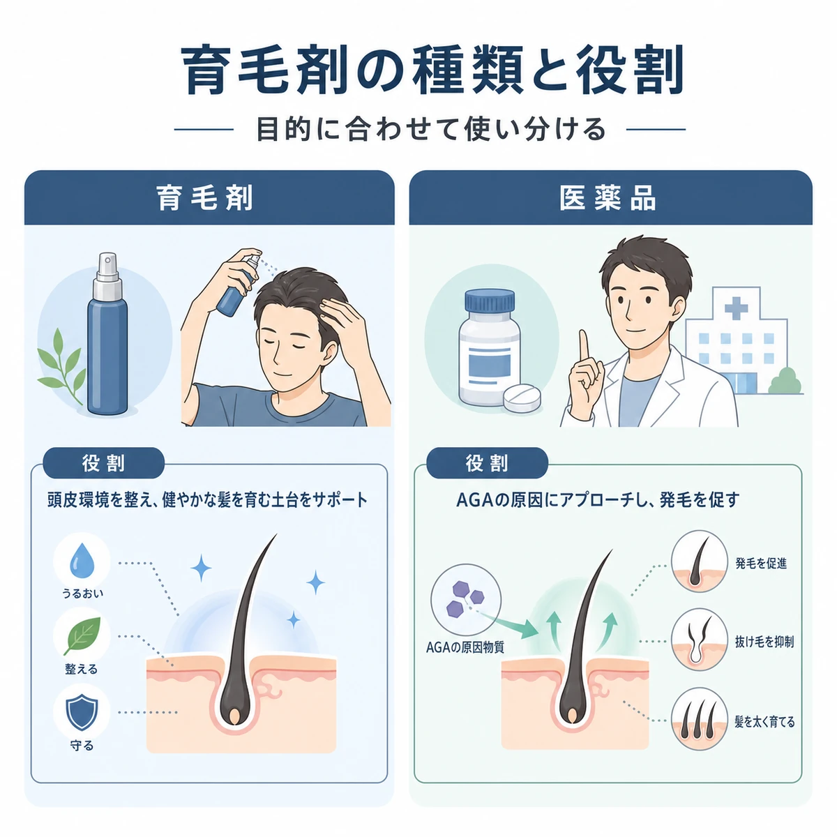 医薬部外品と医薬品の育毛剤の役割の違いを対比した医療イラスト