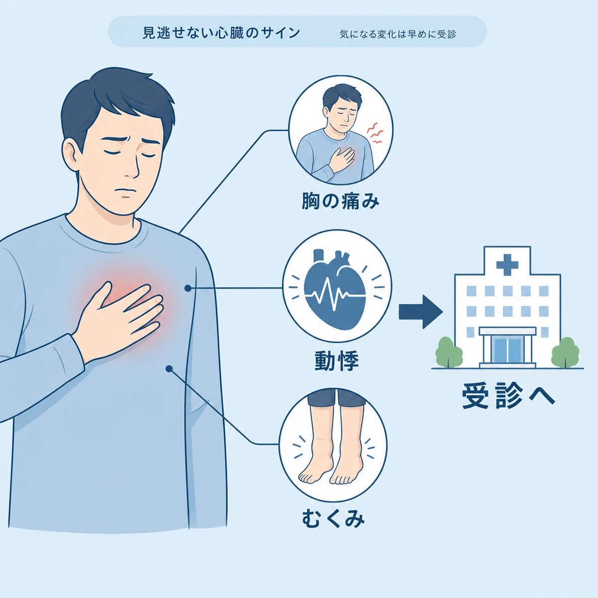 胸痛や動悸やむくみなど心臓の異変のサインを感じたら受診する流れを示した医療イラスト