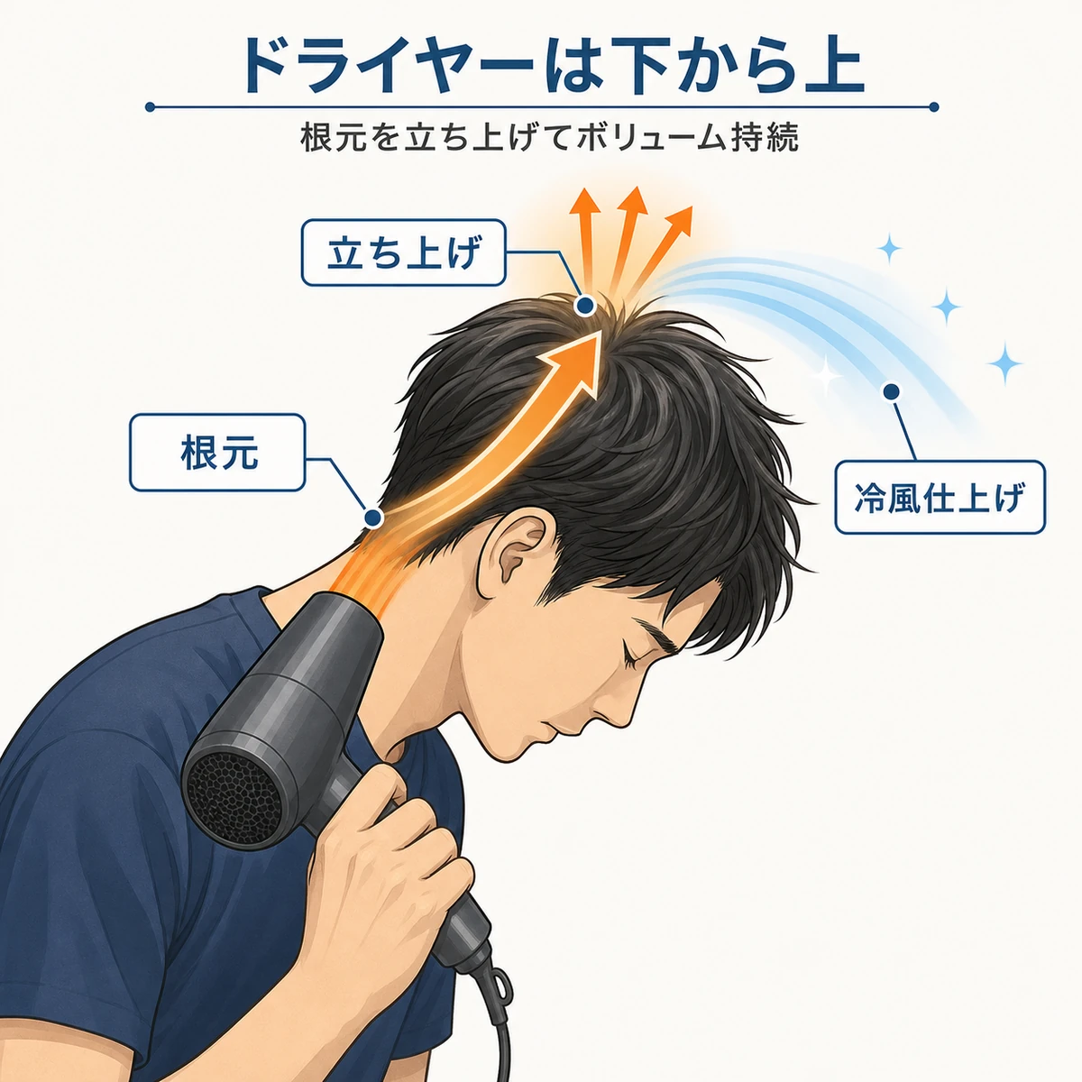 頭を下げて下から上へ温風を当てつむじの根元を立ち上げるドライヤーの使い方を表した医療メディア向けイラスト