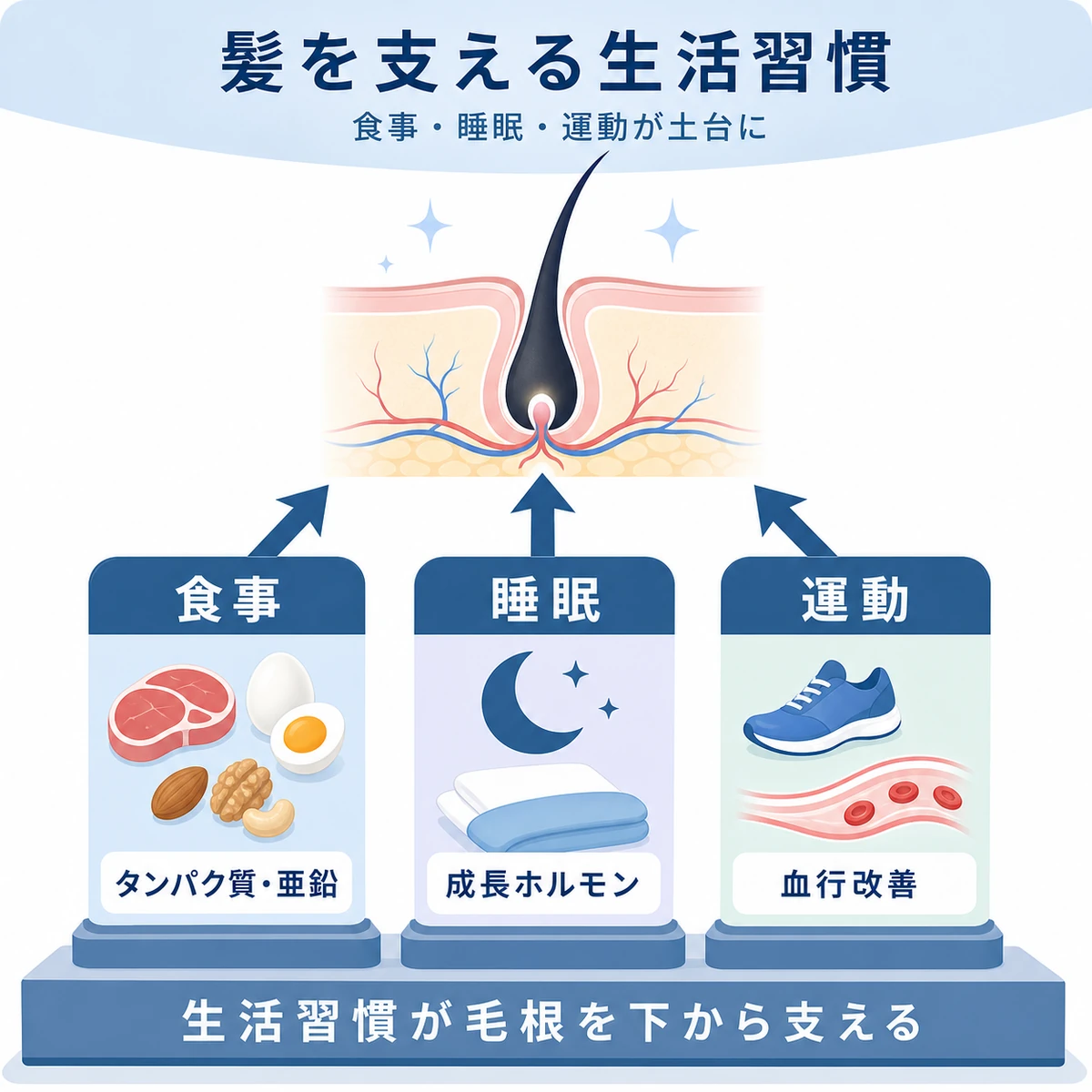 食事と睡眠と運動が髪の健康を支える関係を表した医療イラスト