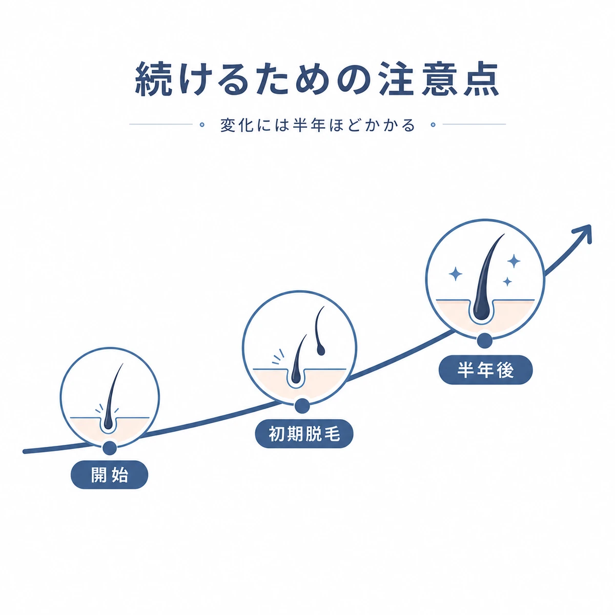 開始から初期脱毛を経て半年後に髪が太くなるまでの経過と続ける注意点を表した医療イラスト