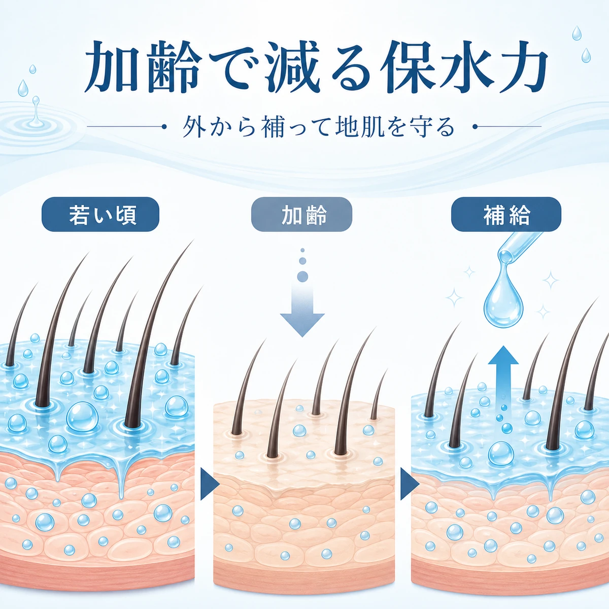 加齢で減る頭皮の保水力を育毛剤で補うイメージを表した医療イラスト