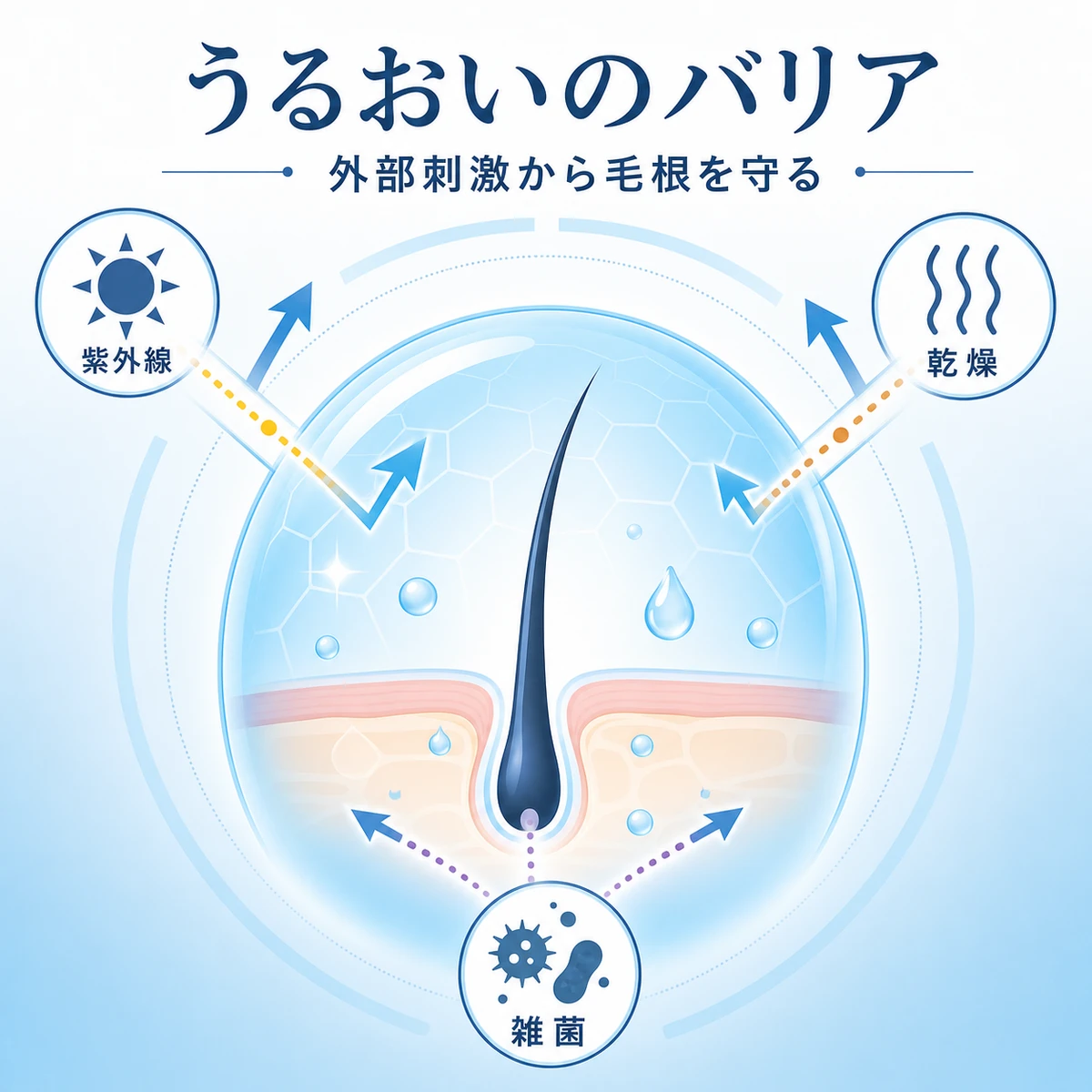 うるおいのバリアが紫外線や乾燥から毛根を守る仕組みを表した医療イラスト