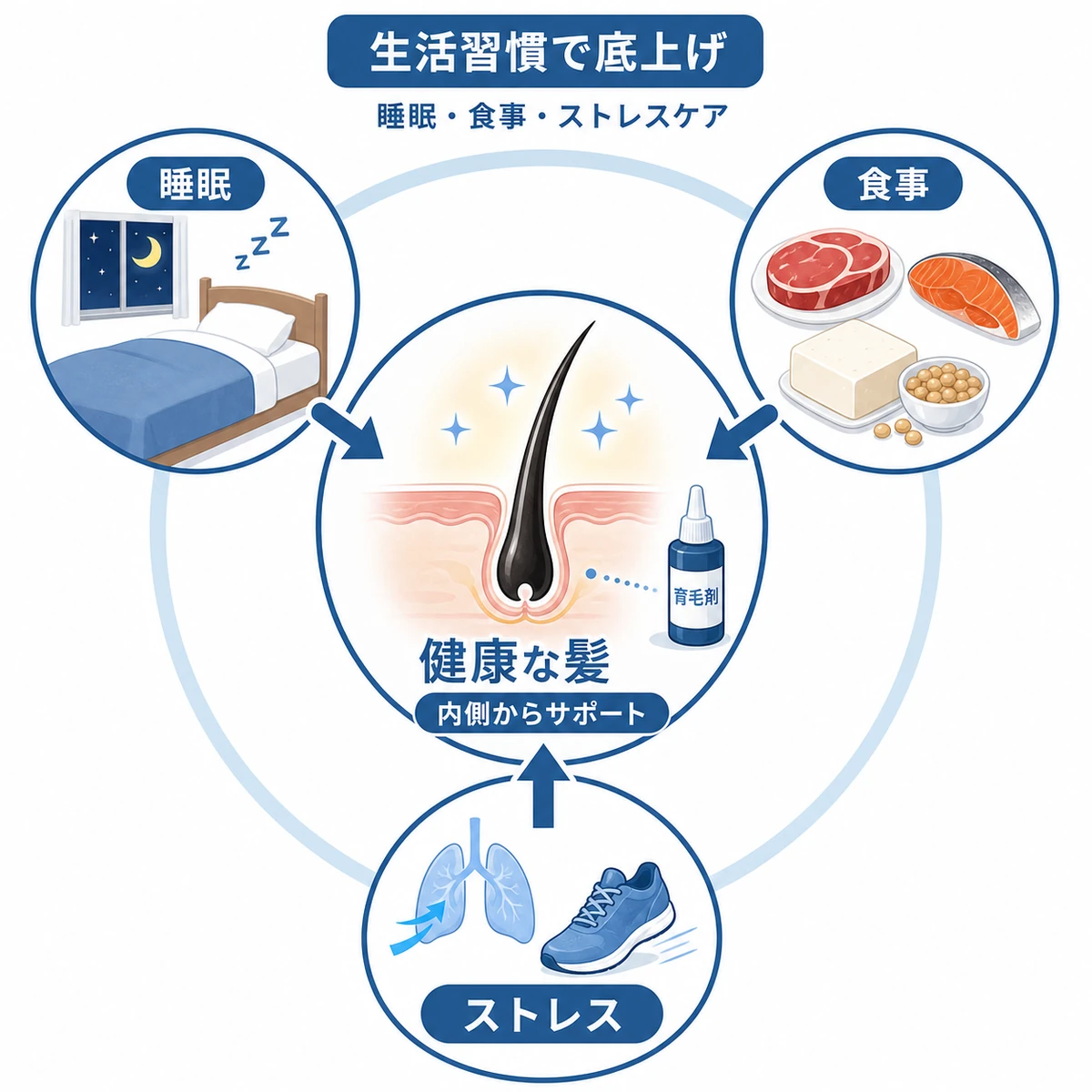 睡眠や食事などの生活習慣が育毛剤の効果を内側から支える関係を表した医療イラスト