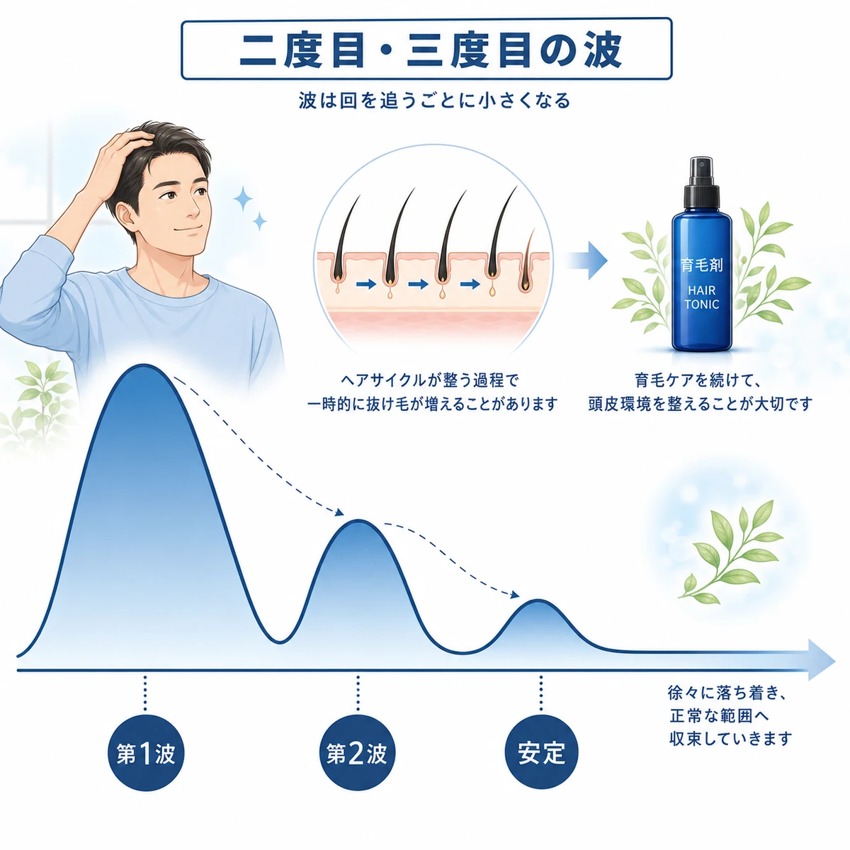 抜け毛の波が第1波から第2波へと回を追うごとに小さくなり落ち着く推移を表した医療イラスト