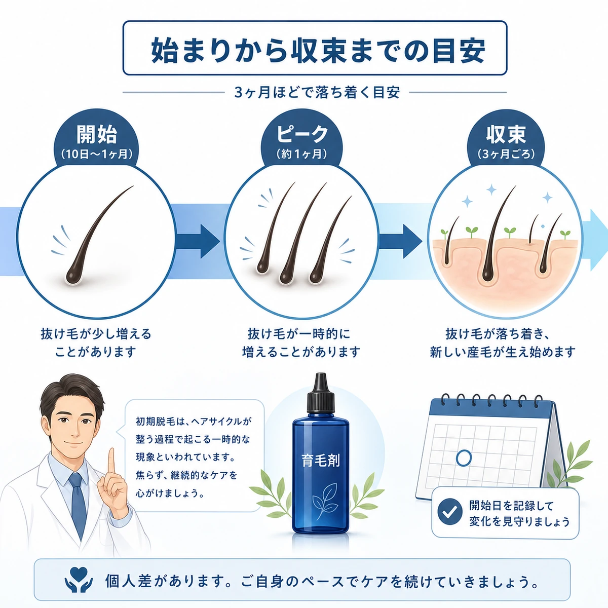 初期脱毛が開始からピークを経て3ヶ月ほどで収束するまでの経過を左から右に表した医療イラスト