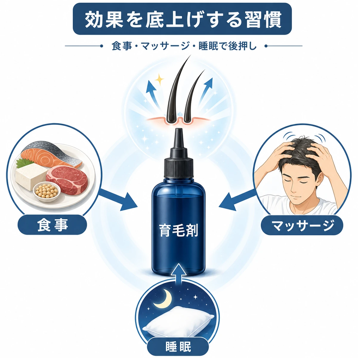 食事とマッサージと睡眠が育毛剤の効果を三方から支える習慣の関係を表した医療イラスト