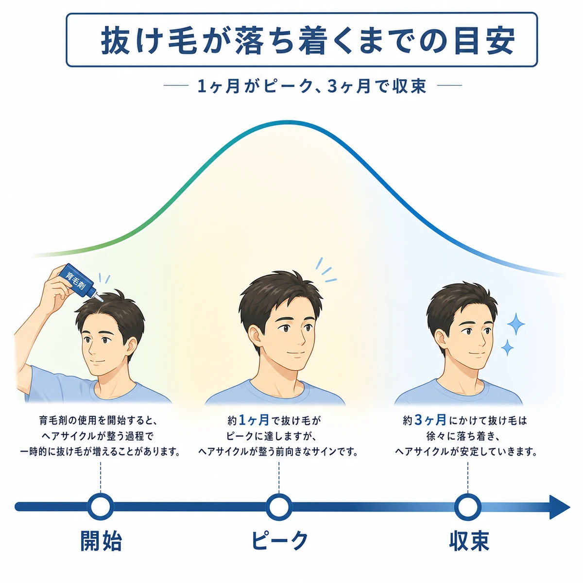 初期脱毛が開始からピークを経て収束するまでの推移を表した医療イラスト