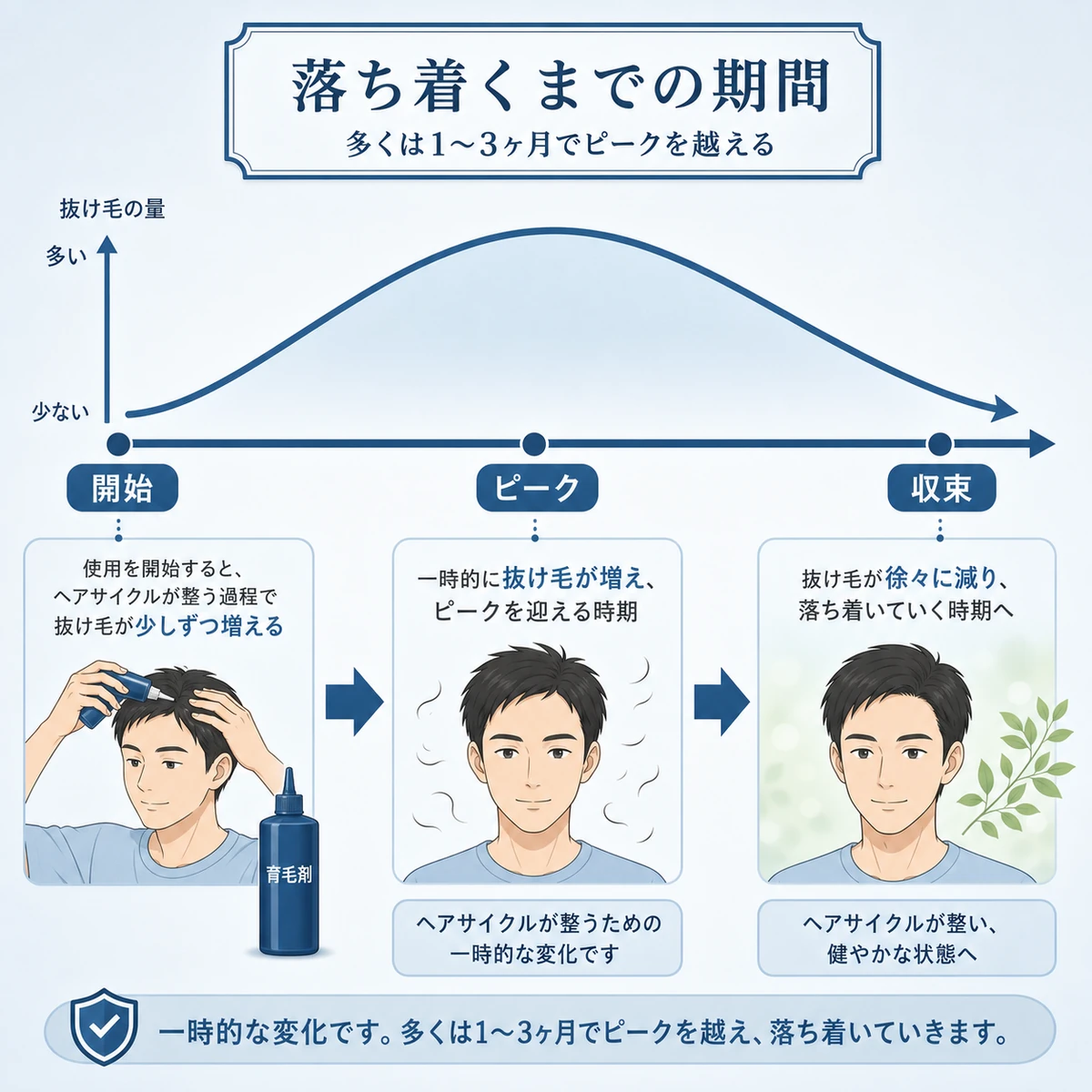 初期脱毛が始まってピークを越え収束へ向かう期間の流れを左から右に表した医療イラスト