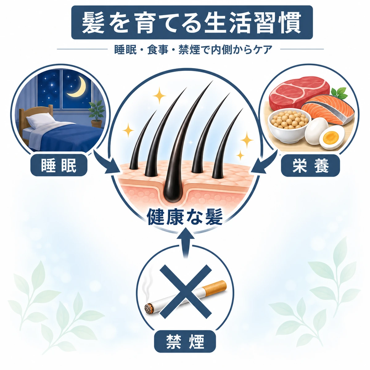 睡眠と栄養と禁煙という生活習慣が健康な髪を支える関係を表した医療イラスト