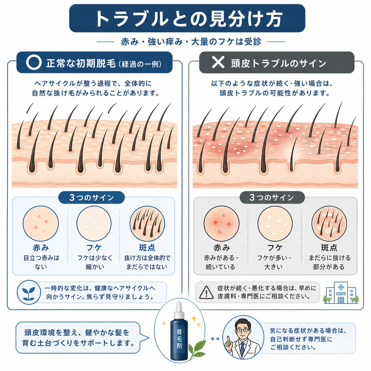 正常な初期脱毛と赤みやフケなどの頭皮トラブルを見分けるポイントを対比で表した医療イラスト