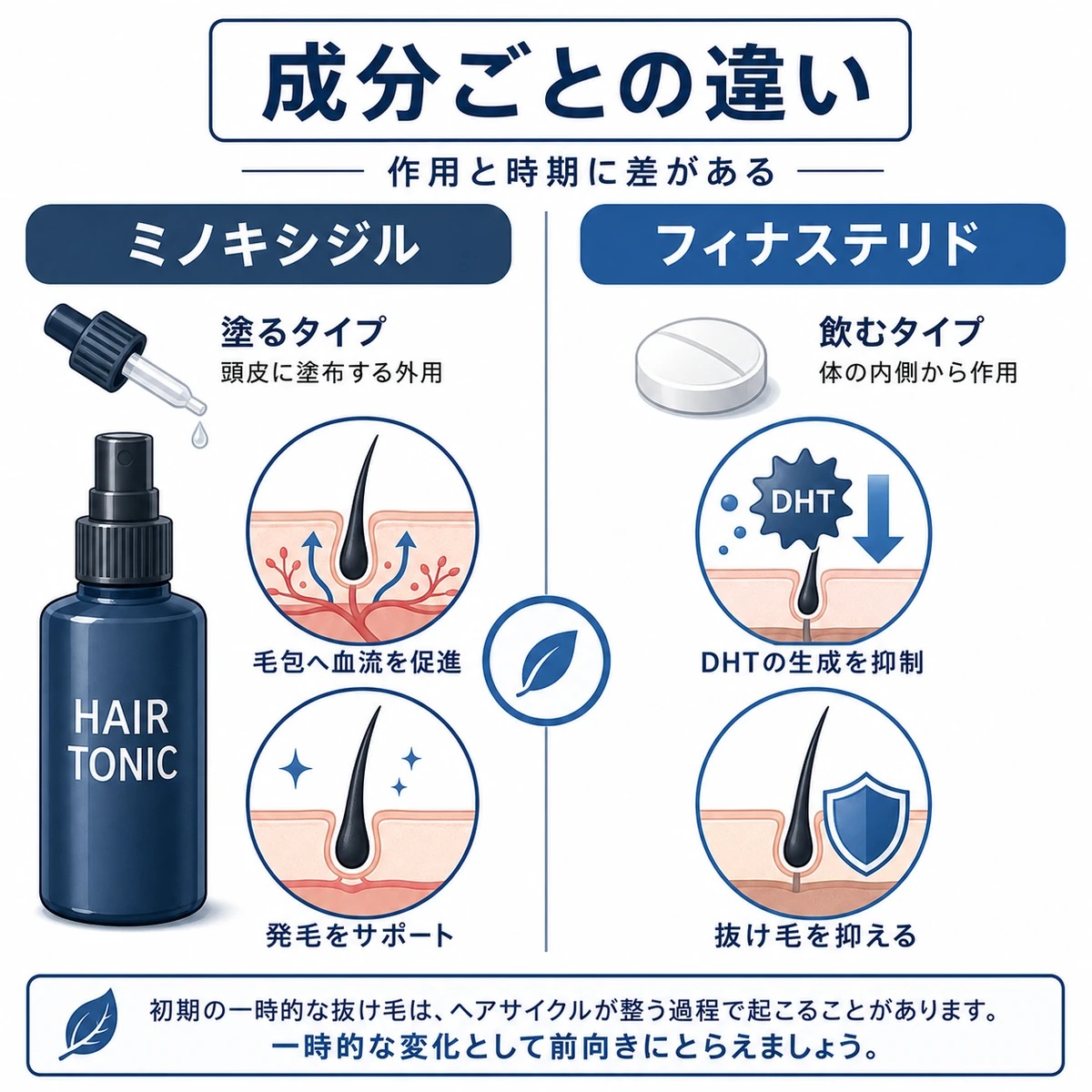 ミノキシジルとフィナステリドの作用の違いを左右で対比した医療イラスト