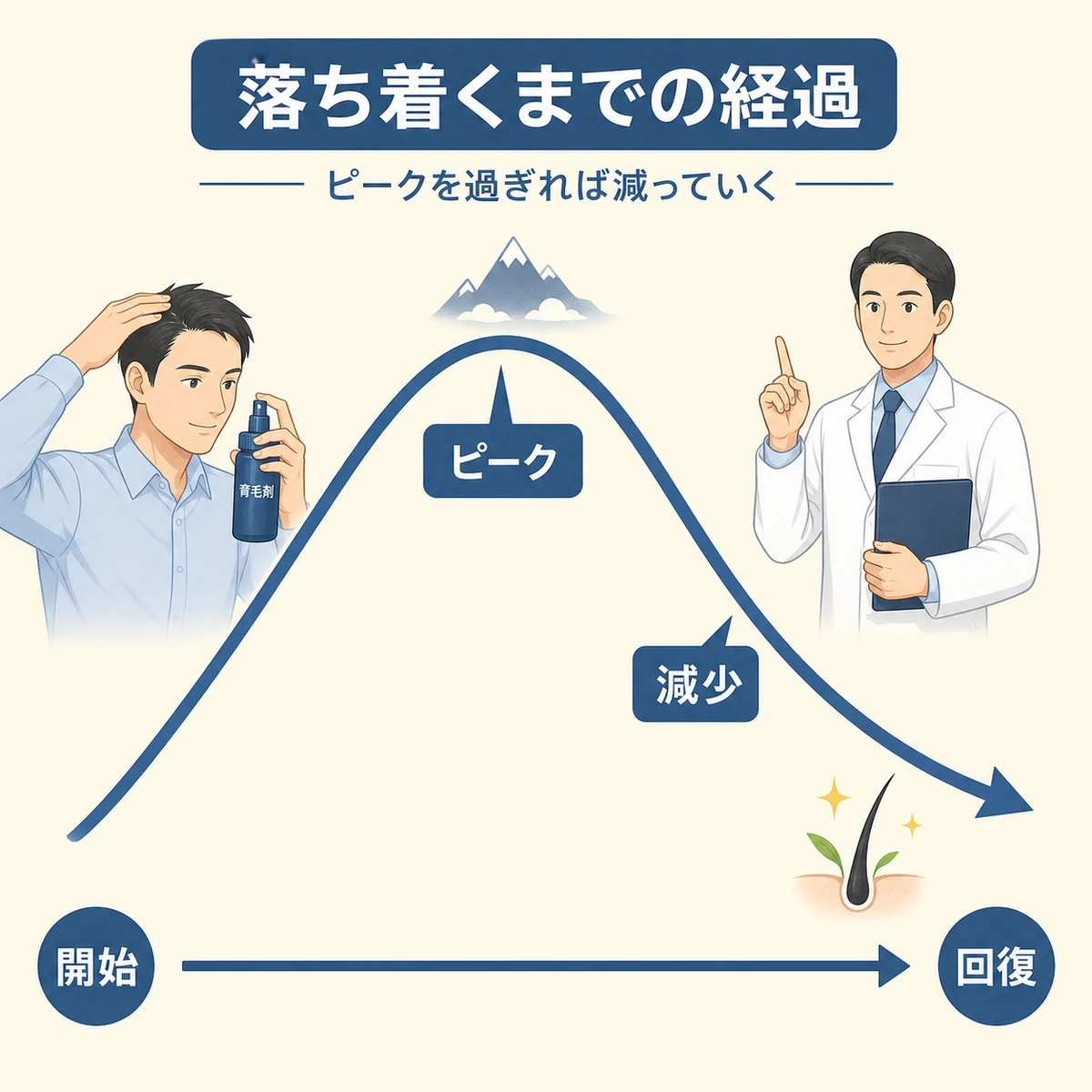 抜け毛がピークを過ぎて減っていく1〜3か月の経過を右下がりの曲線で表した医療イラスト