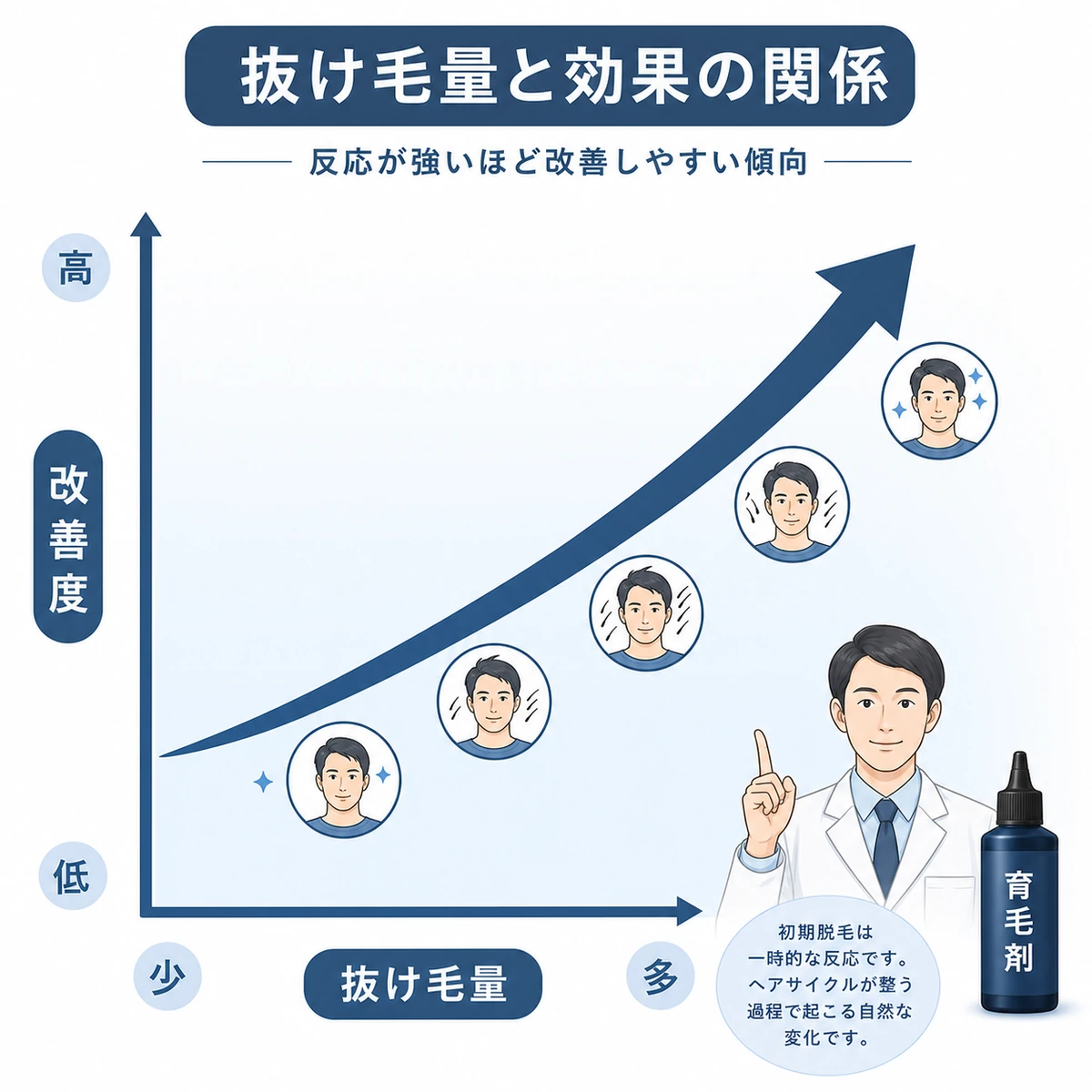 初期脱毛の量が多いほど毛髪の改善度が高まる右上がりの相関を表した医療イラスト