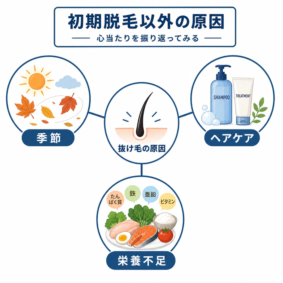 季節やヘアケアや栄養不足など初期脱毛以外の抜け毛の原因を分類した医療イラスト