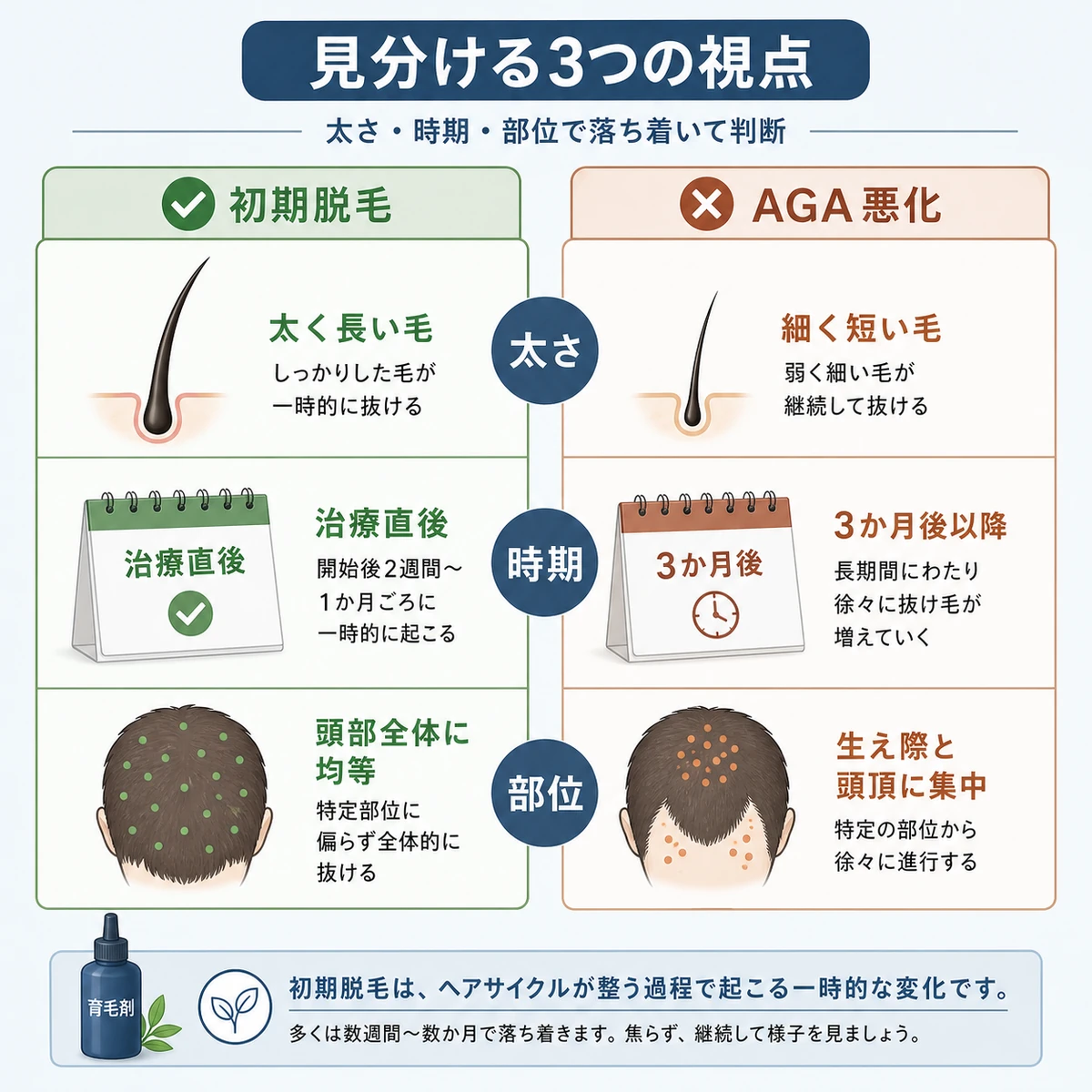 抜け毛の太さと時期と部位で初期脱毛とAGA悪化を見分ける比較表の医療イラスト