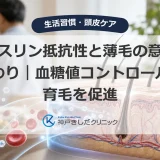 インスリン抵抗性と薄毛の意外な関わり｜血糖値コントロールで育毛を促進