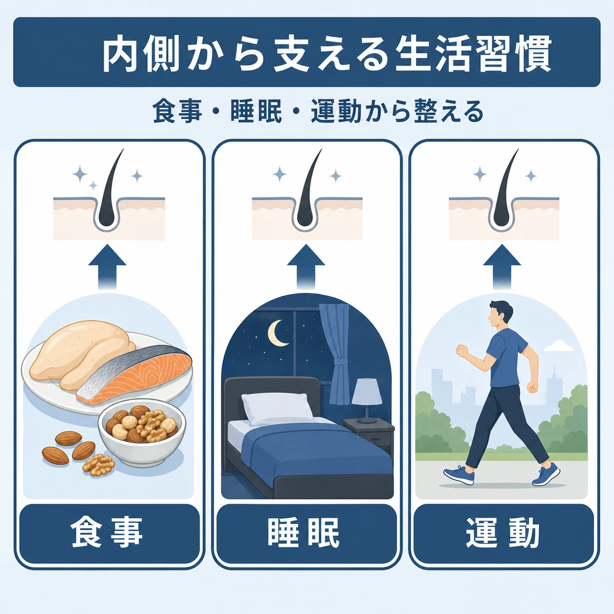 食事と睡眠と運動の生活習慣が育毛を内側から支えることを表した医療イラスト
