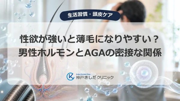 性欲が強いと薄毛になりやすい？男性ホルモンとAGAの密接な関係