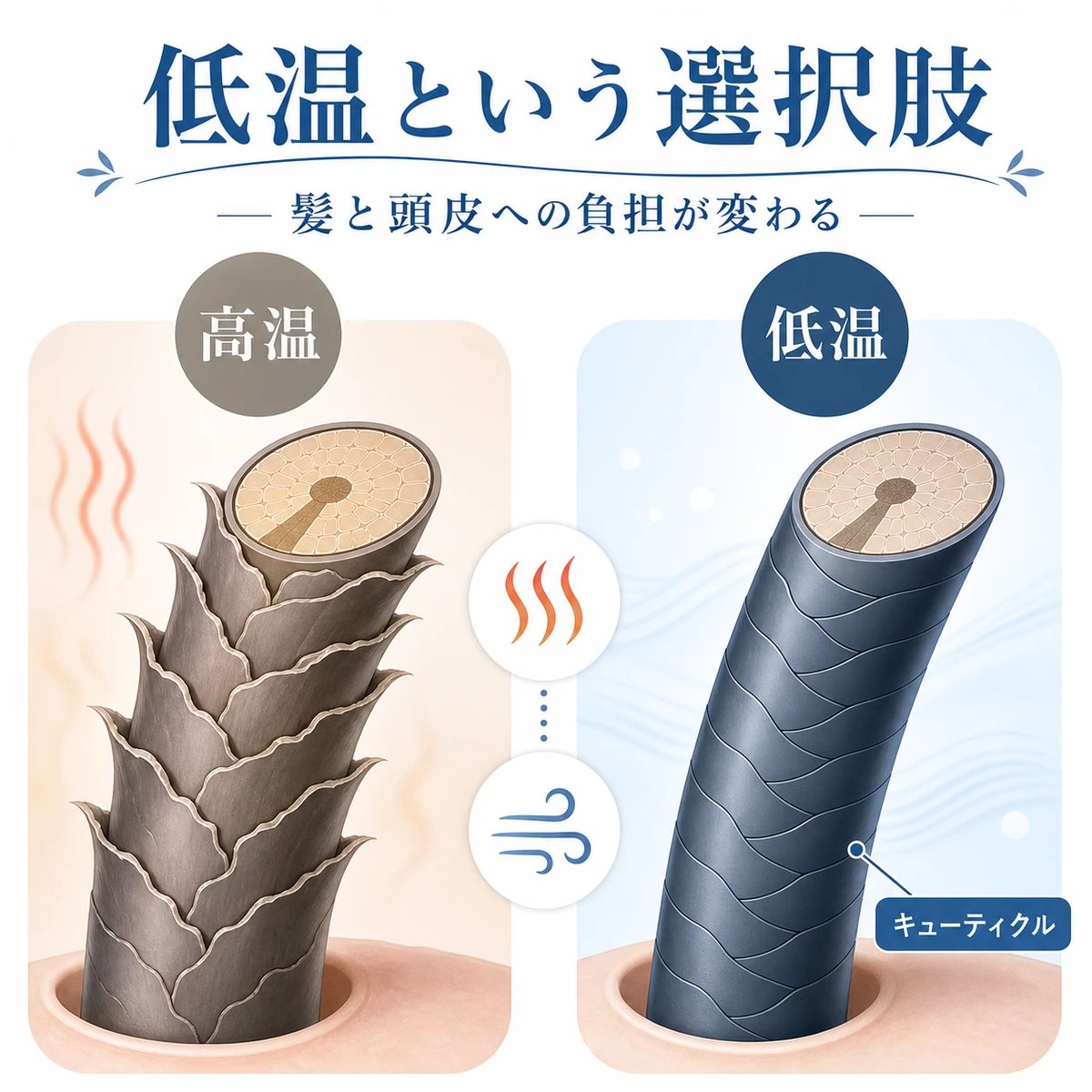 高温と低温で異なる毛髪キューティクルの状態を左右で比べた医療イラスト